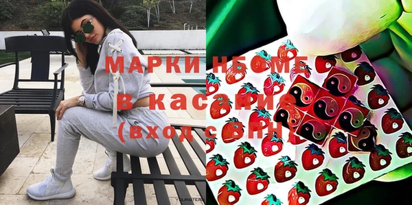 гидра Абаза