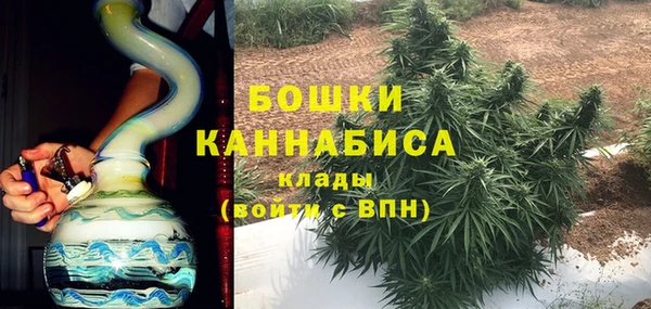 гидра Абаза