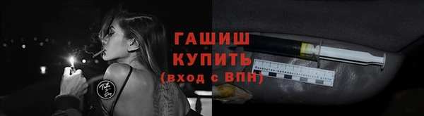 гидра Абаза