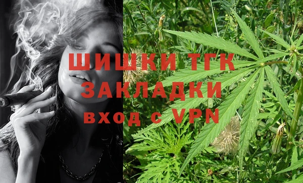 гидра Абаза