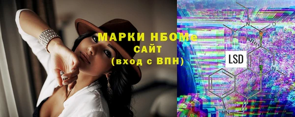 гидра Абаза