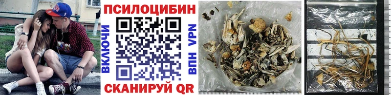 blacksprut ССЫЛКА  Абаза  Псилоцибиновые грибы мухоморы 